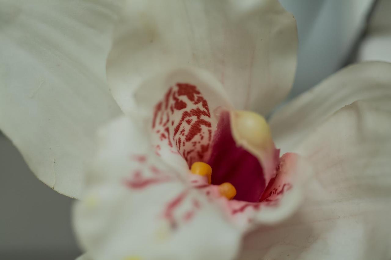 Corinth Iris Garden Retreatアパートホテル エクステリア 写真
