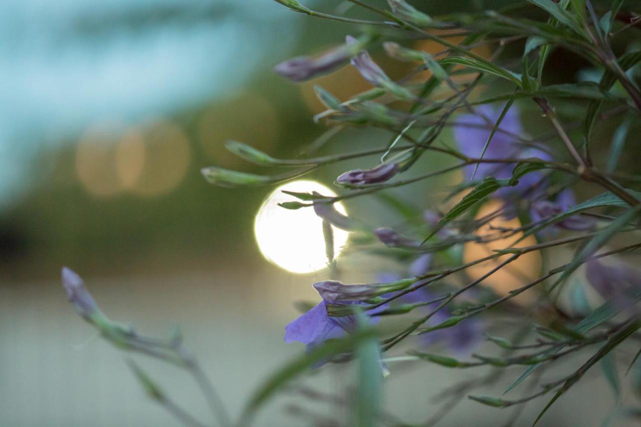 Corinth Iris Garden Retreatアパートホテル エクステリア 写真