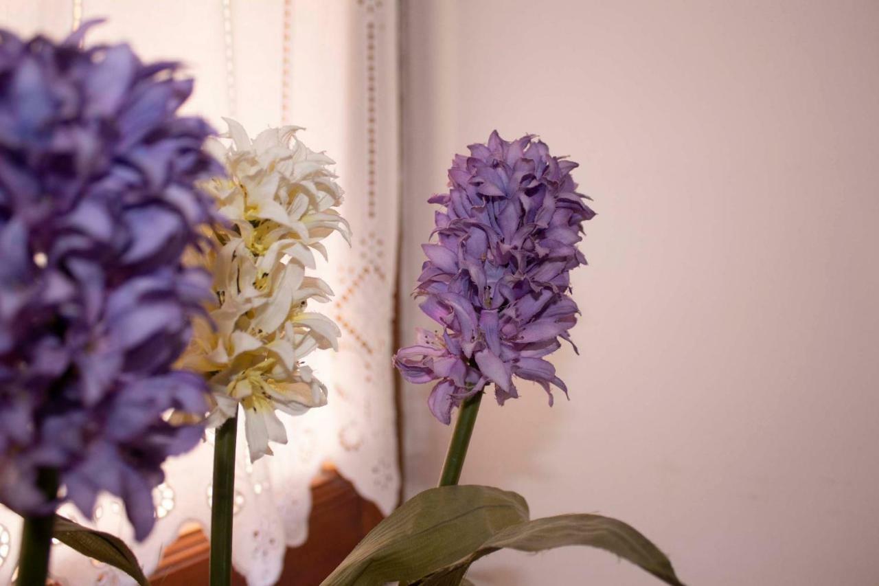 Corinth Iris Garden Retreatアパートホテル エクステリア 写真